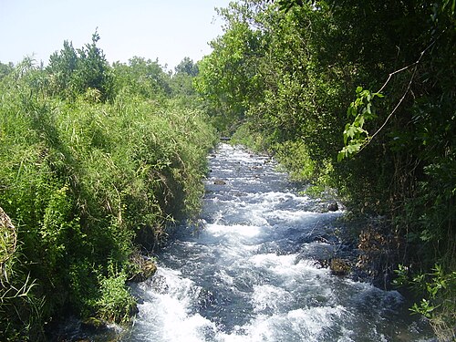 Dan River (Israel)